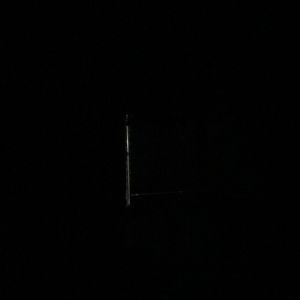 Meet your Posher, Bailey